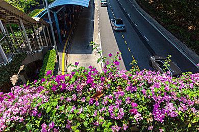 DLSS 4及多帧生成支持更多游戏，全新Game Ready驱动发布